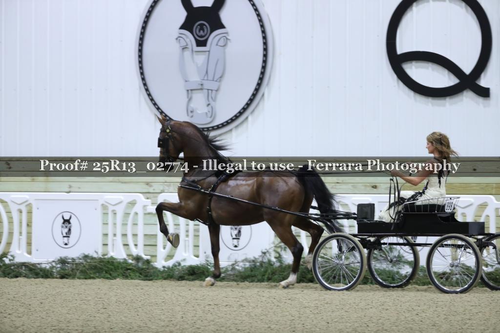 Proof 25R13_02774