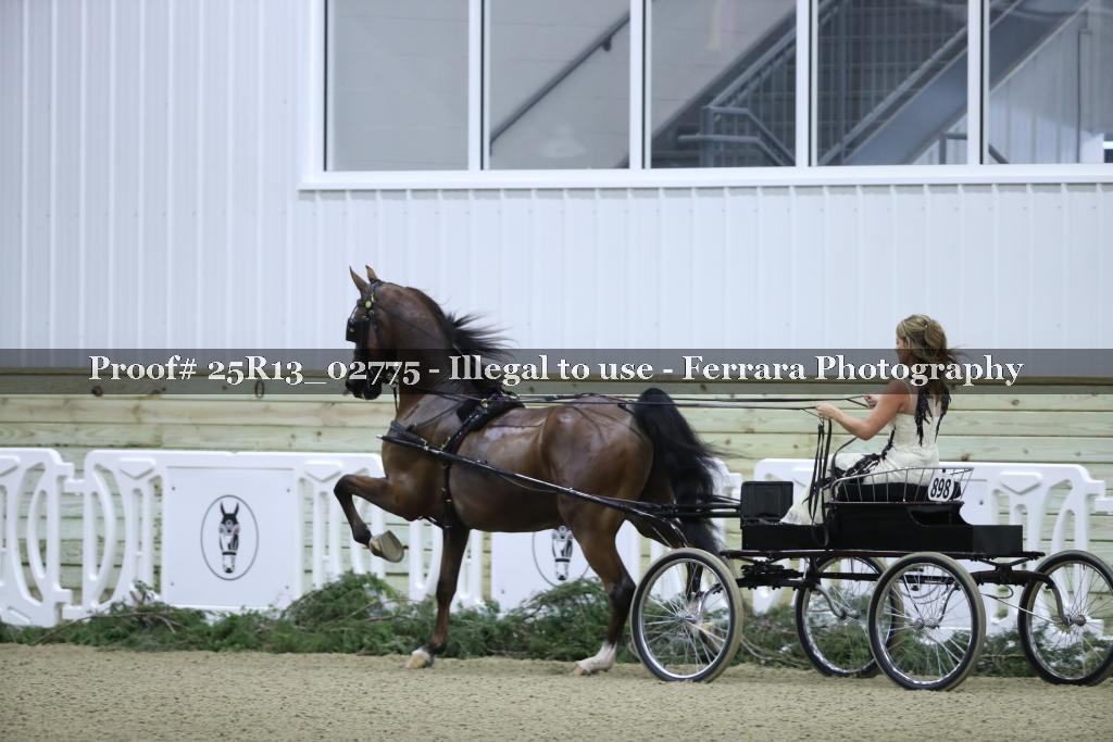 Proof 25R13_02775