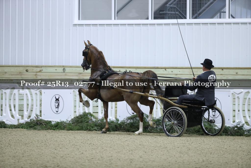 Proof 25R13_02777