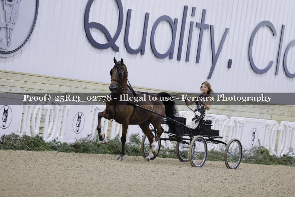 Proof 25R13_02778