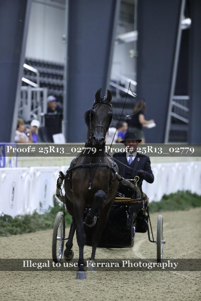 Proof 25R13_02779