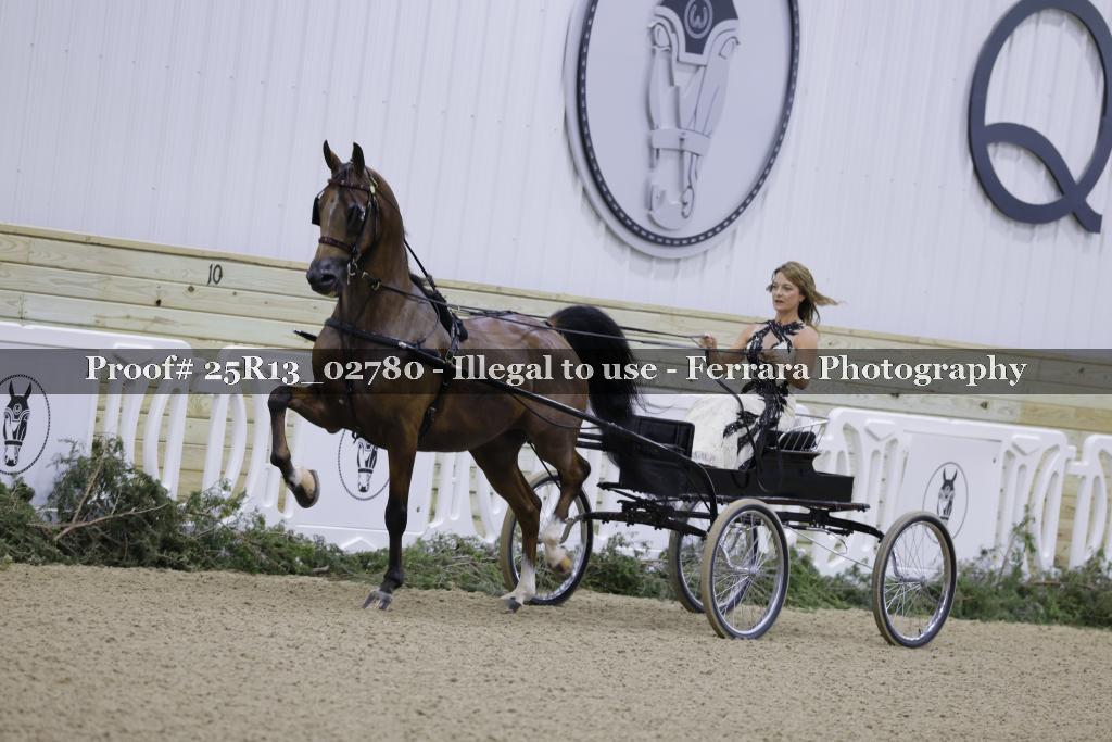 Proof 25R13_02780
