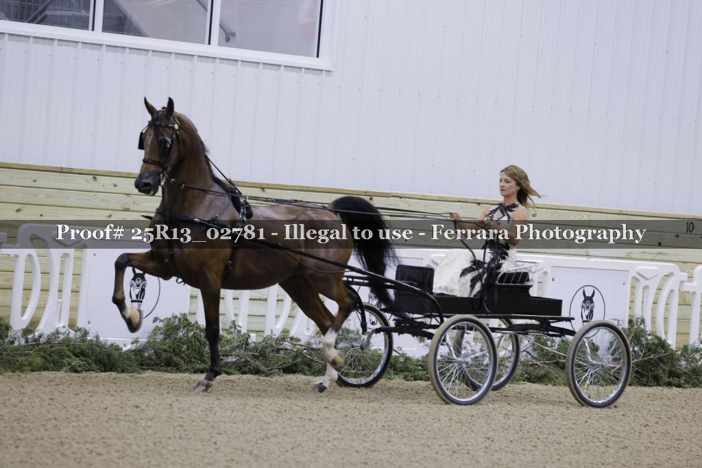 Proof 25R13_02781