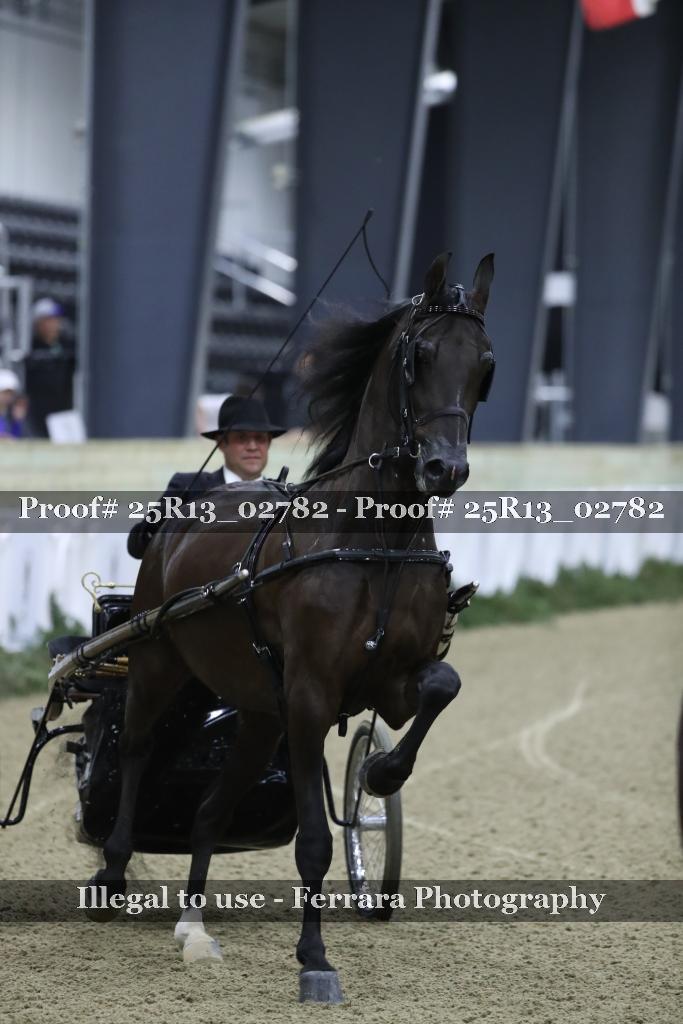 Proof 25R13_02782