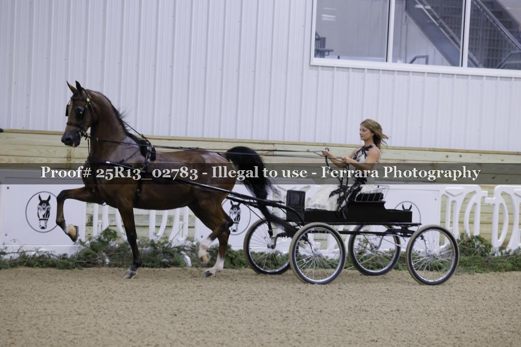 Proof 25R13_02783
