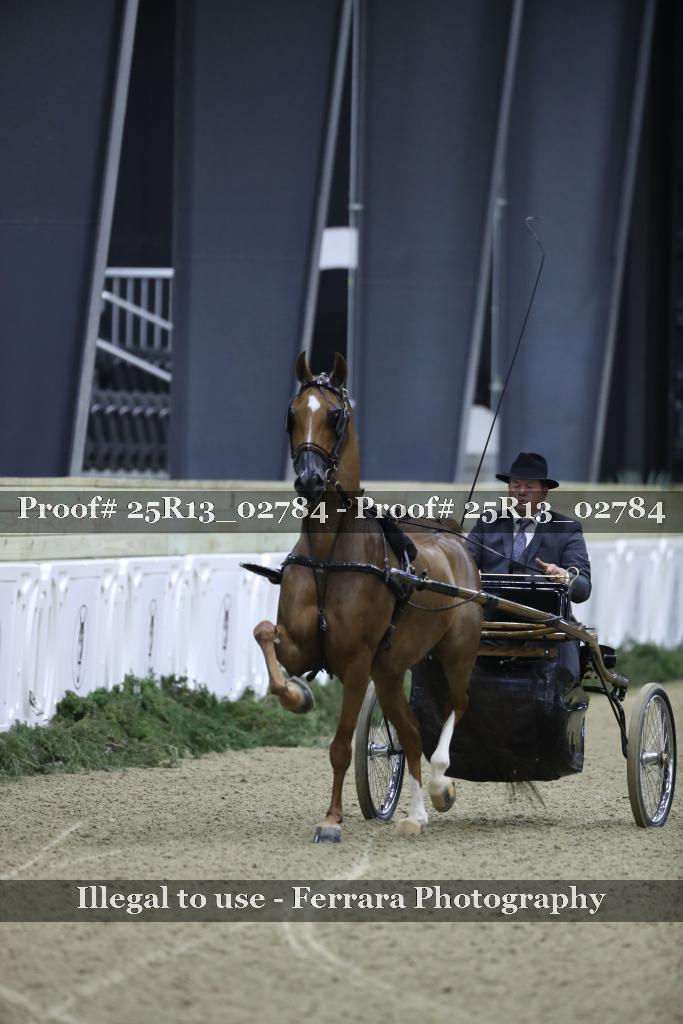 Proof 25R13_02784