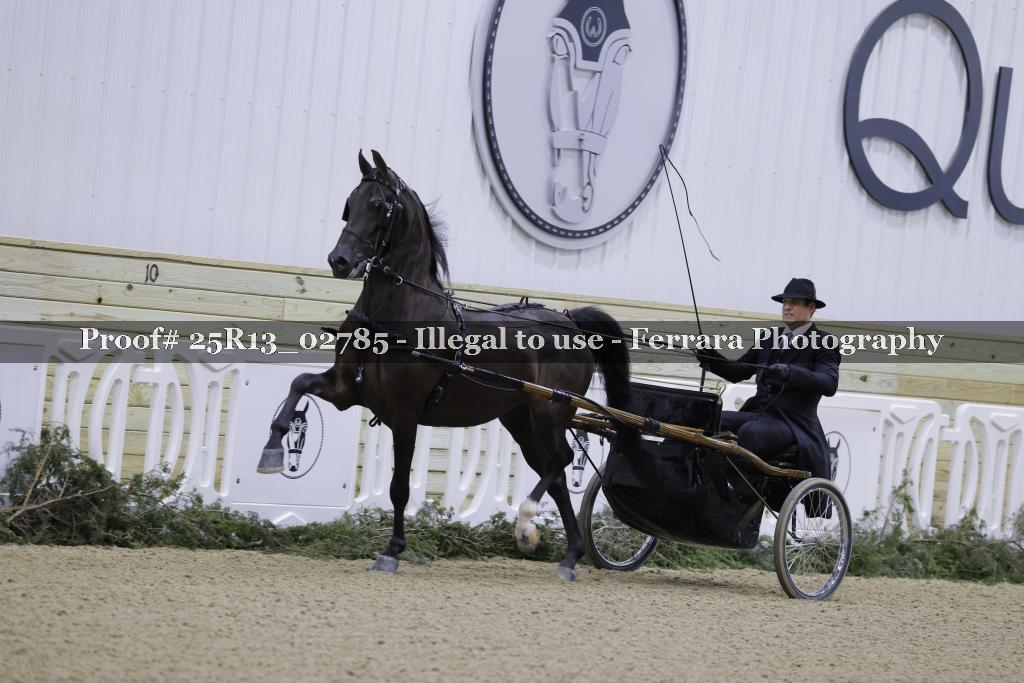 Proof 25R13_02785