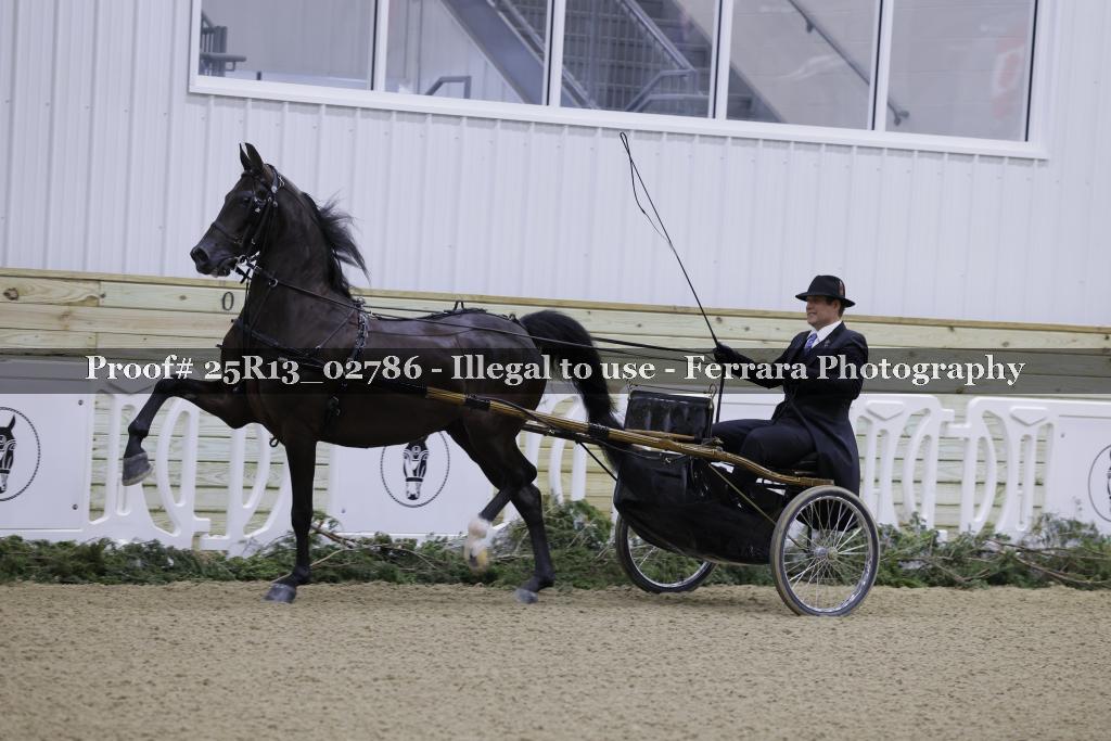 Proof 25R13_02786