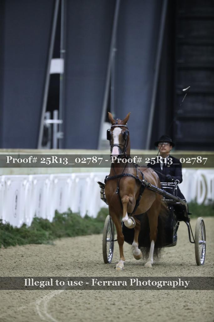 Proof 25R13_02787