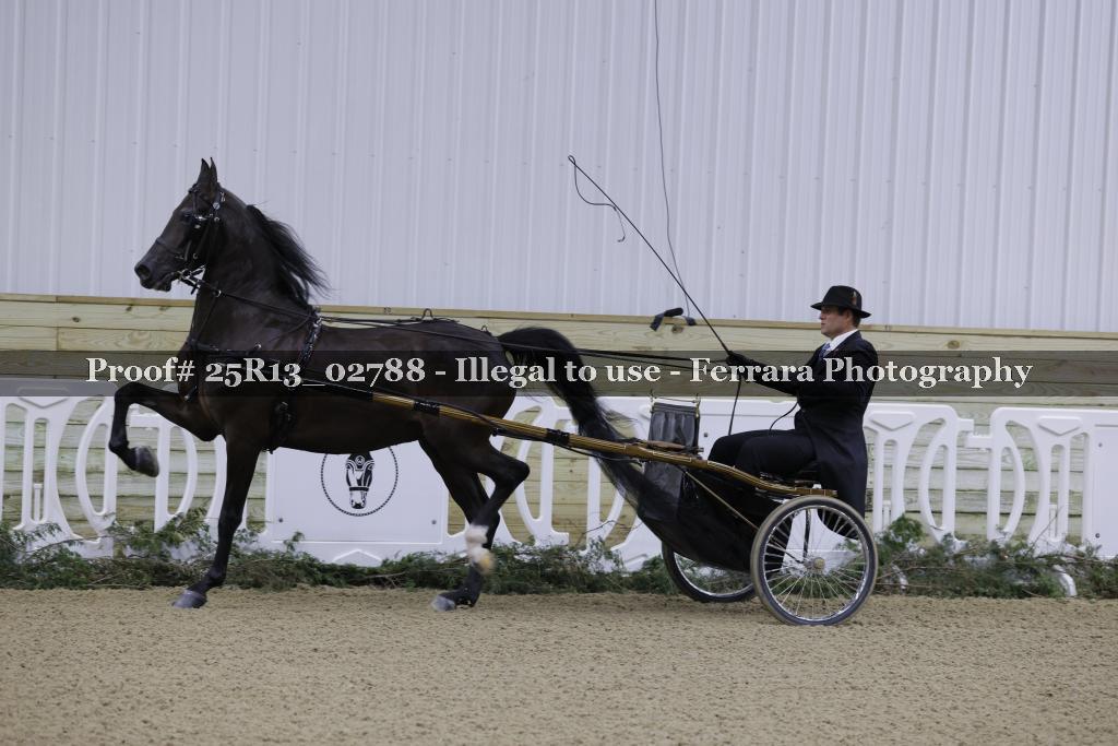 Proof 25R13_02788
