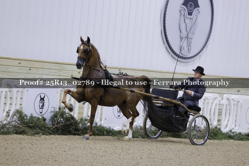 Proof 25R13_02789