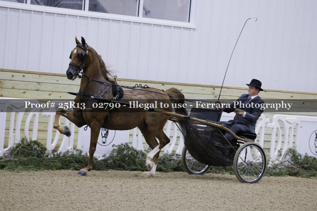 Proof 25R13_02790