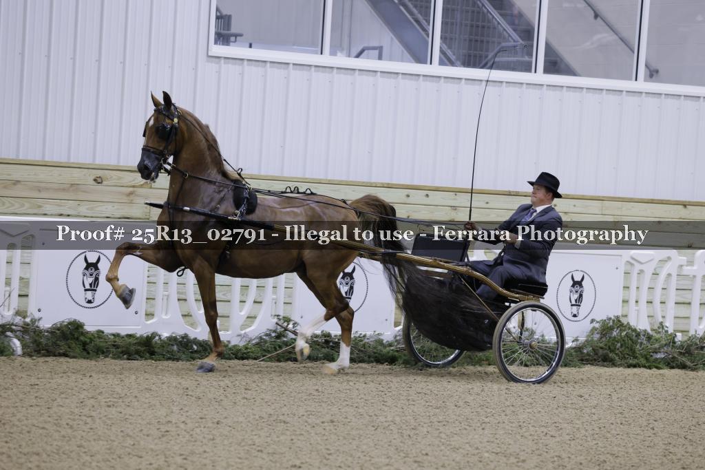 Proof 25R13_02791