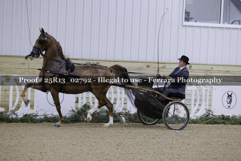 Proof 25R13_02792