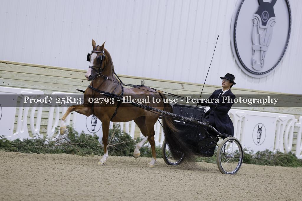 Proof 25R13_02793