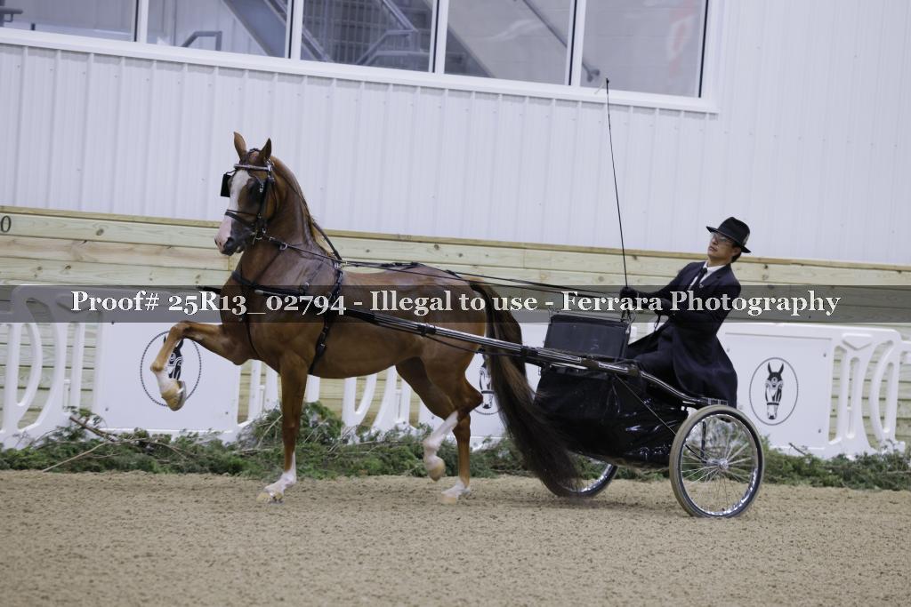 Proof 25R13_02794