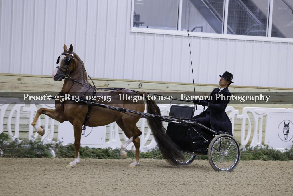 Proof 25R13_02795
