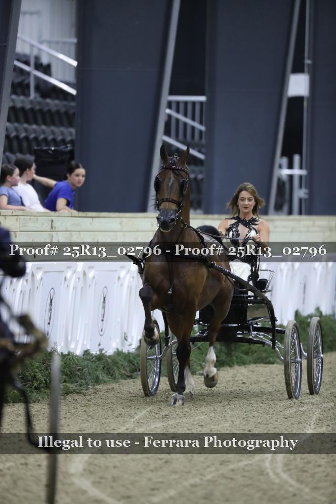 Proof 25R13_02796