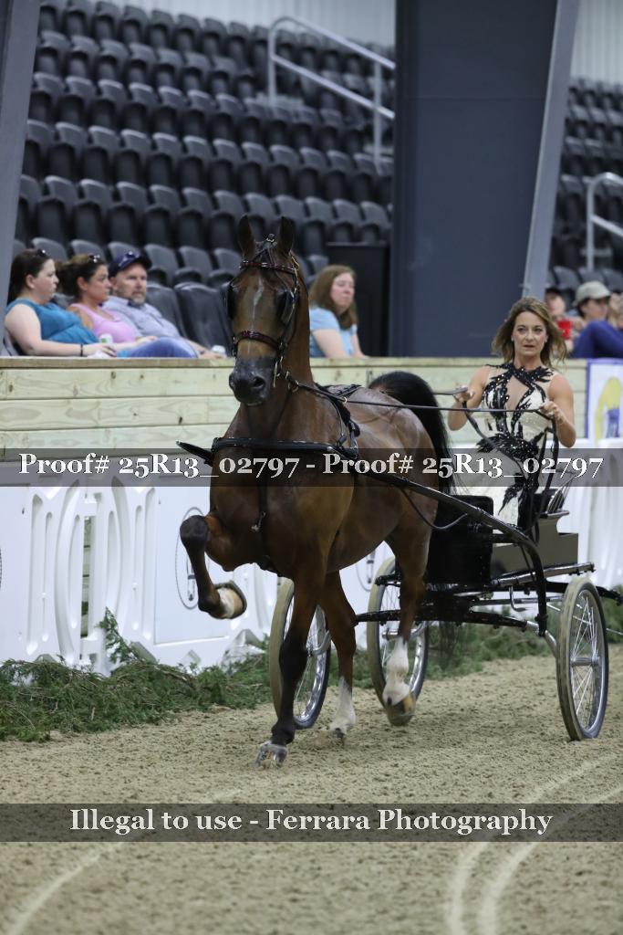 Proof 25R13_02797