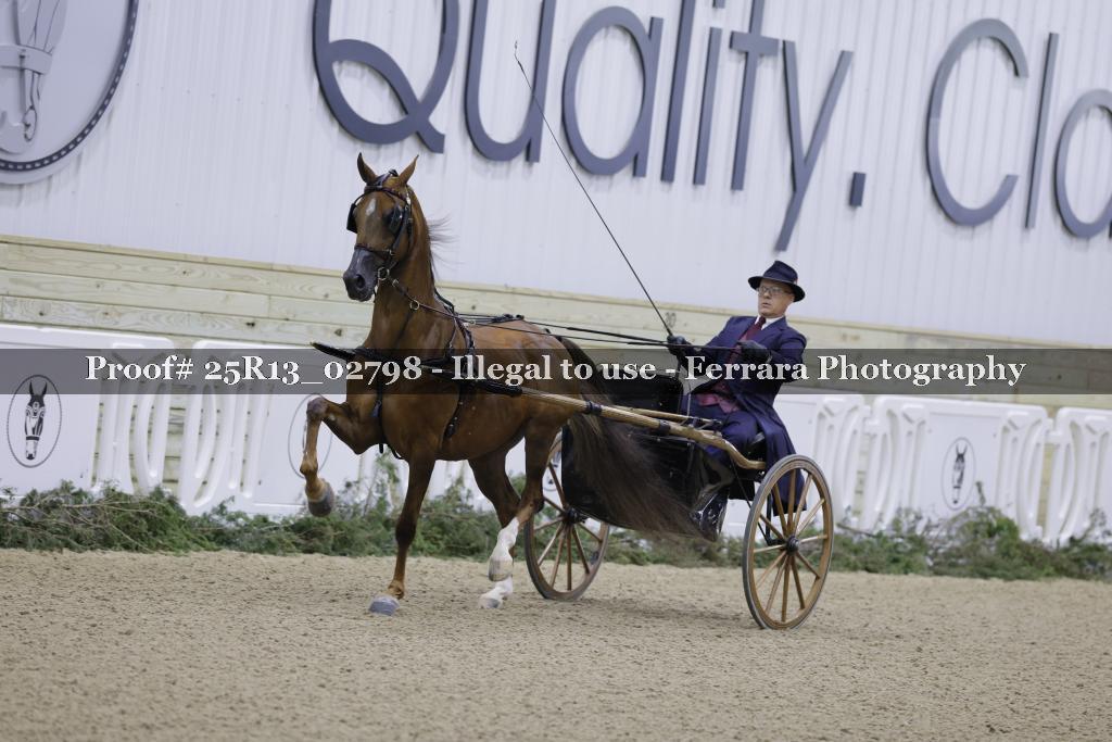 Proof 25R13_02798