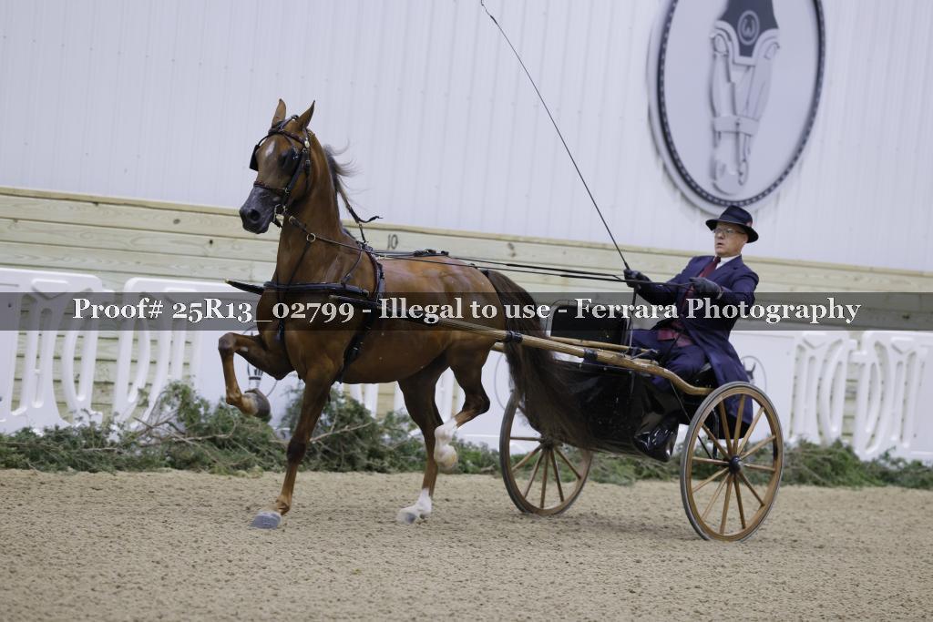 Proof 25R13_02799