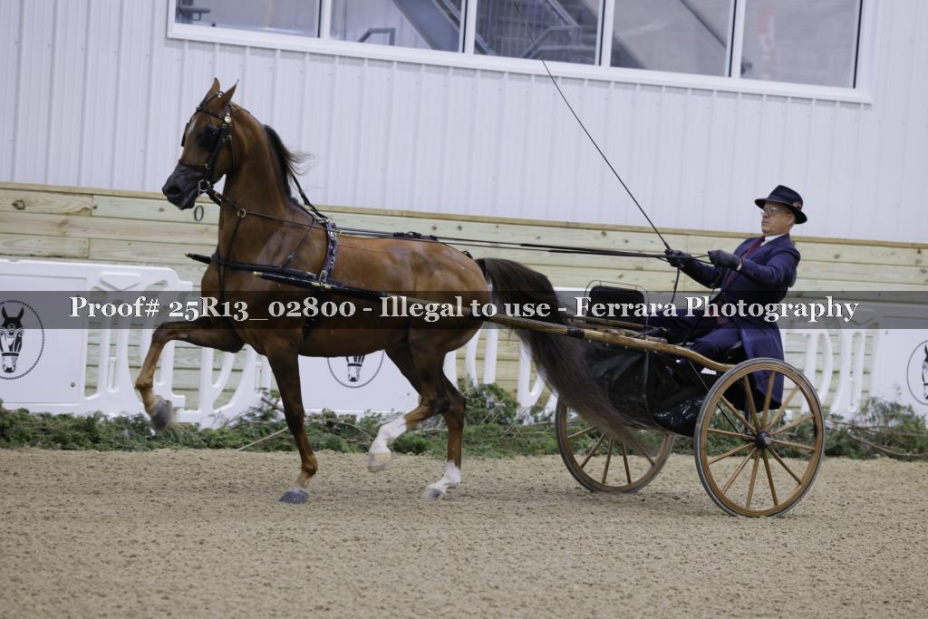 Proof 25R13_02800