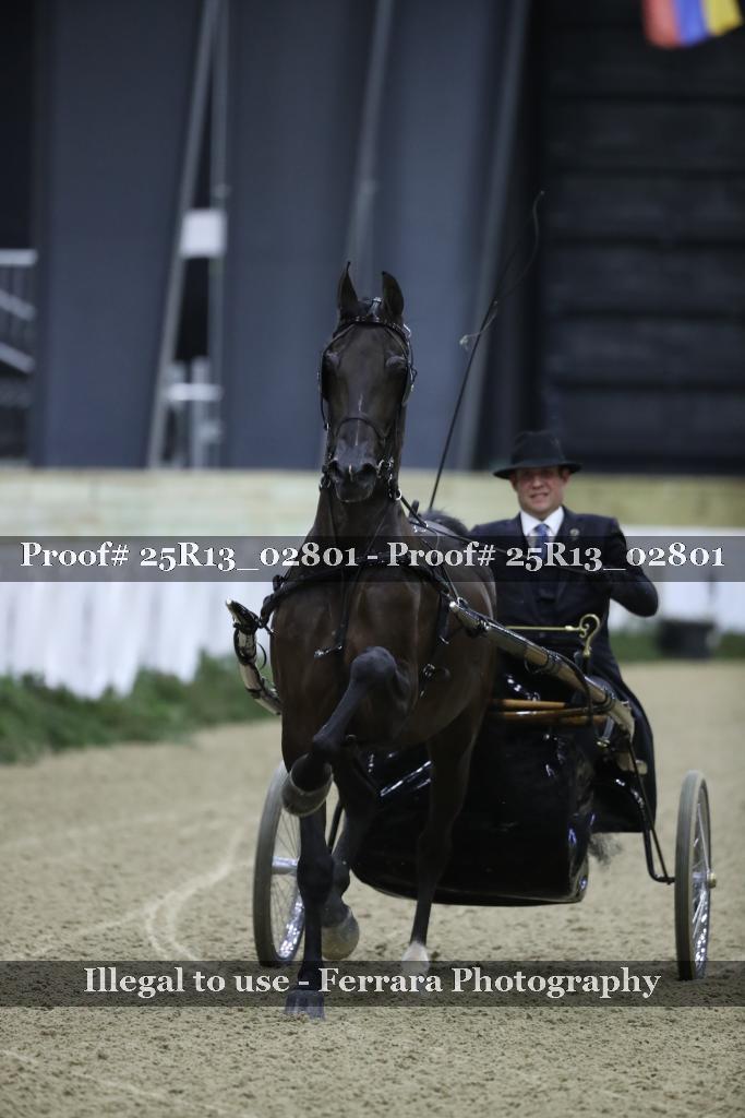 Proof 25R13_02801