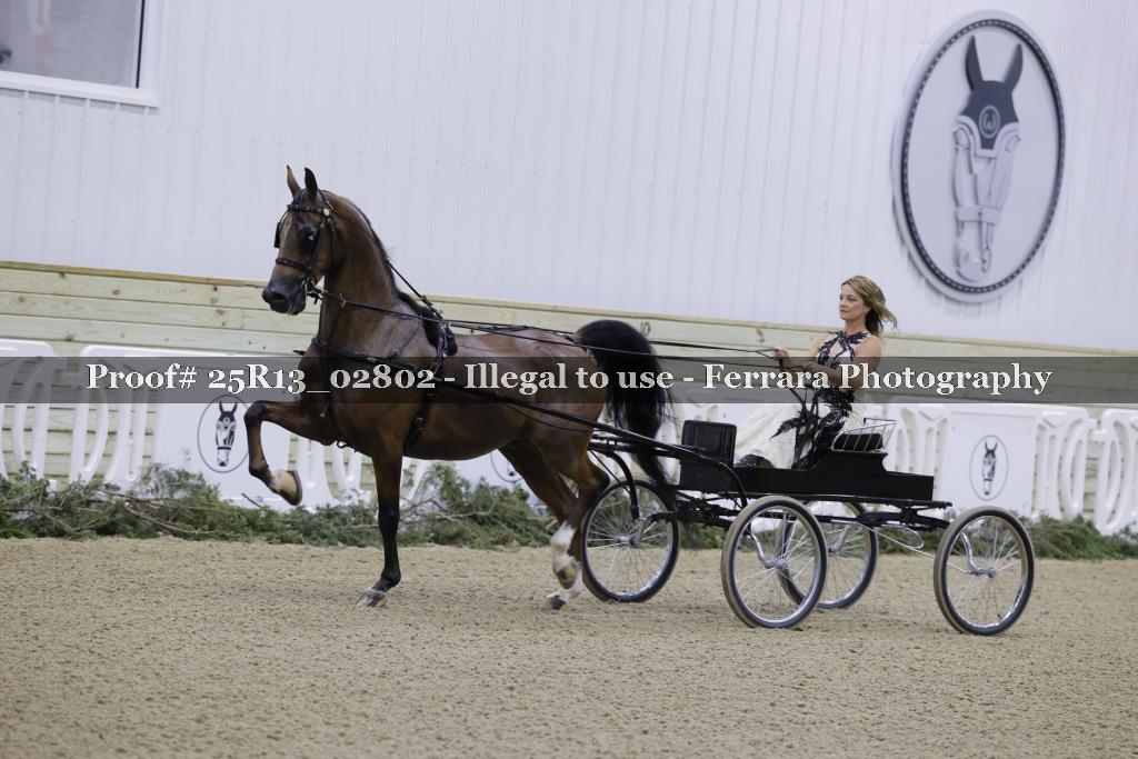 Proof 25R13_02802