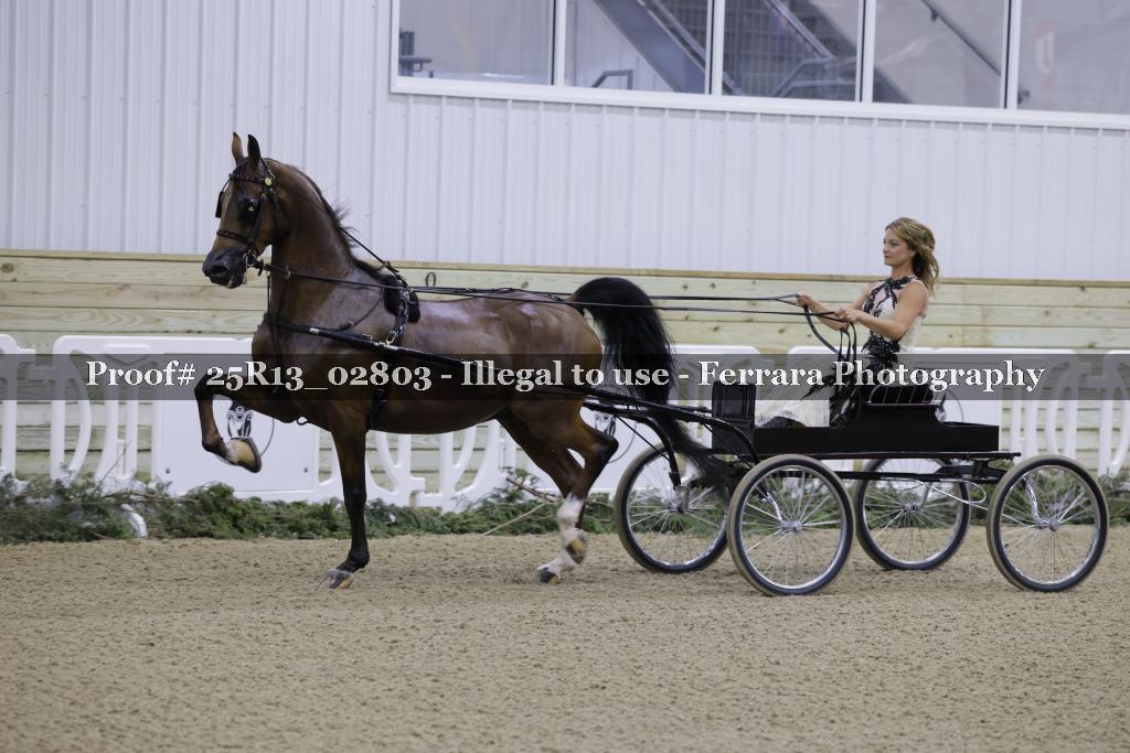 Proof 25R13_02803