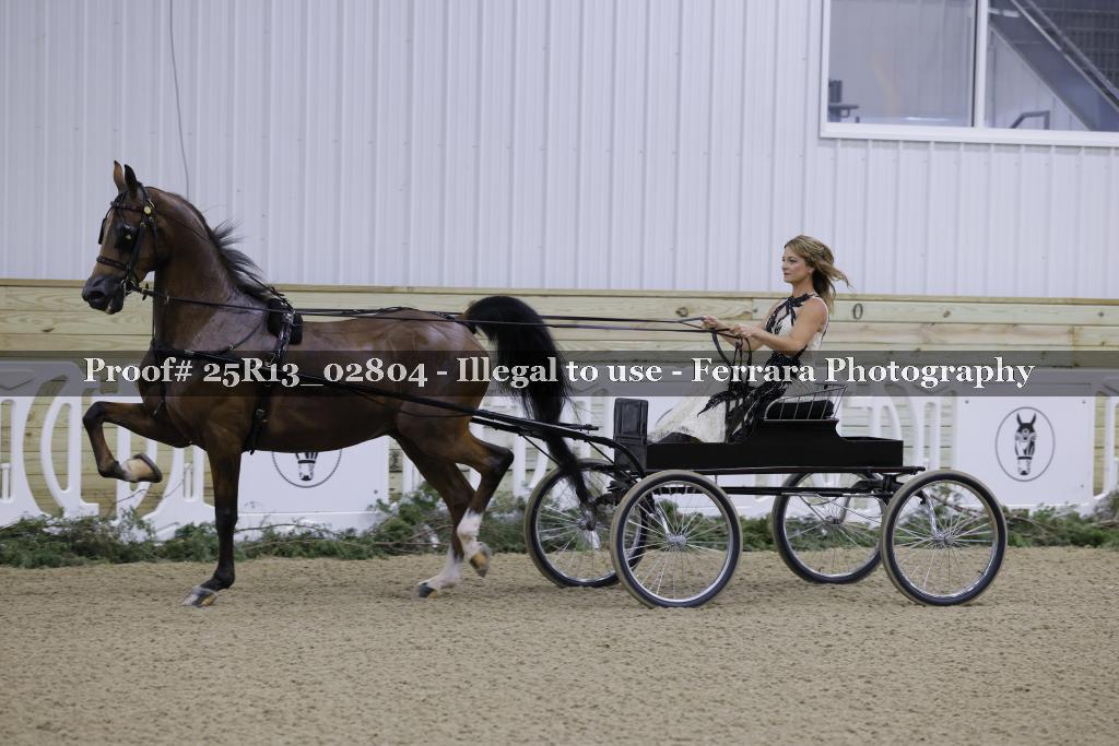 Proof 25R13_02804