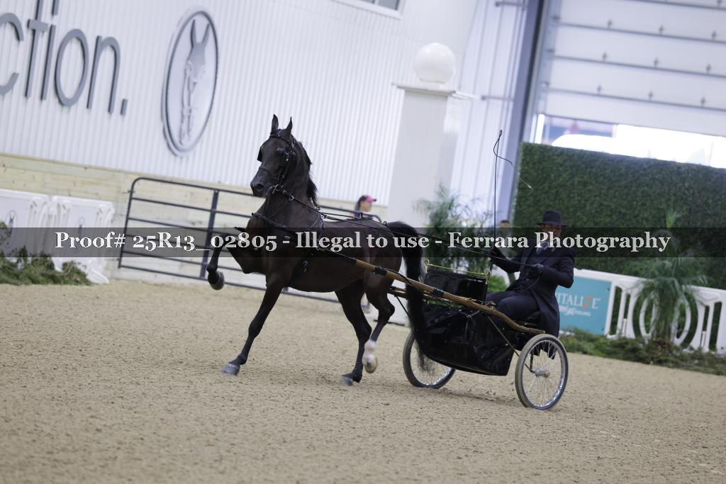 Proof 25R13_02805