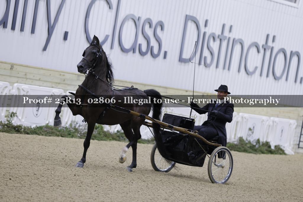 Proof 25R13_02806