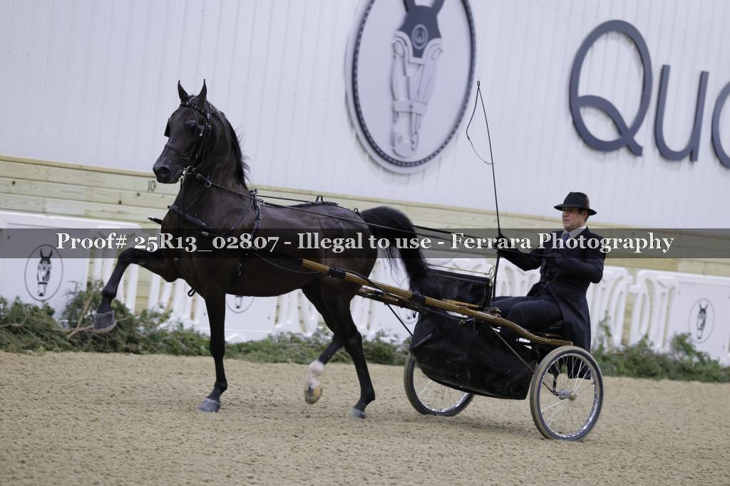 Proof 25R13_02807