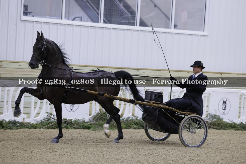 Proof 25R13_02808