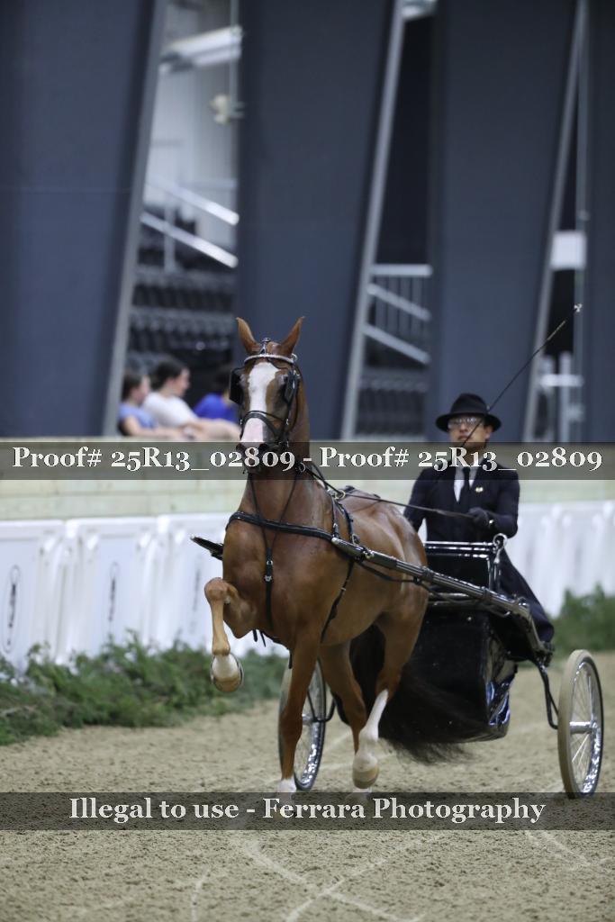 Proof 25R13_02809