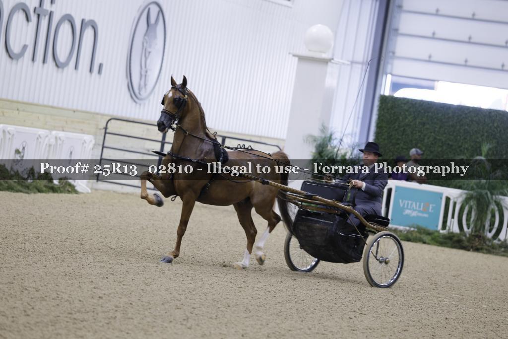 Proof 25R13_02810