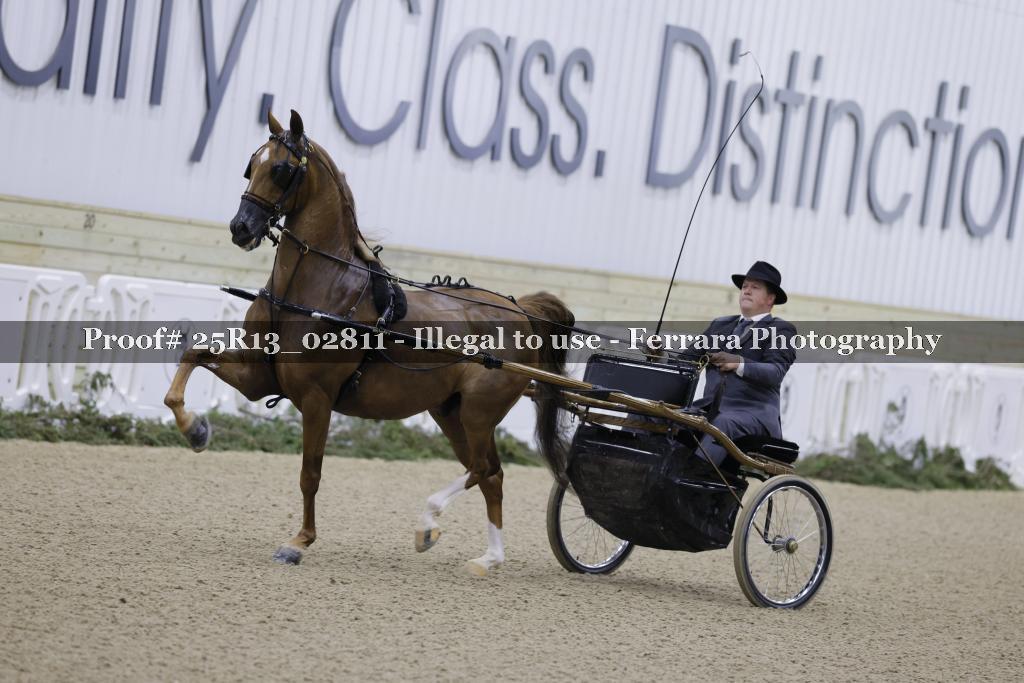 Proof 25R13_02811