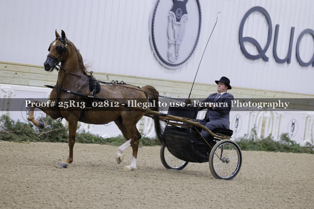 Proof 25R13_02812
