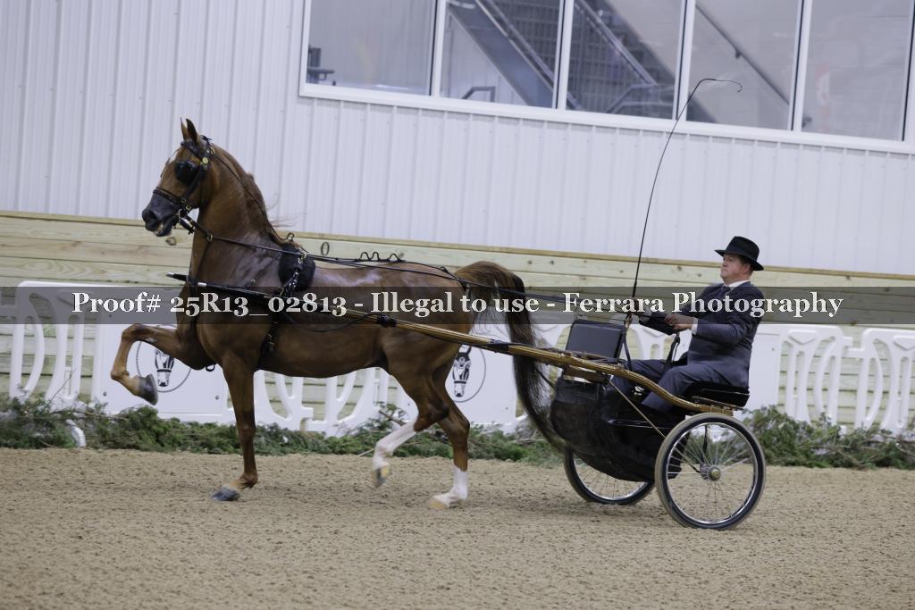 Proof 25R13_02813