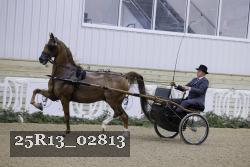 25R13_02813 proof