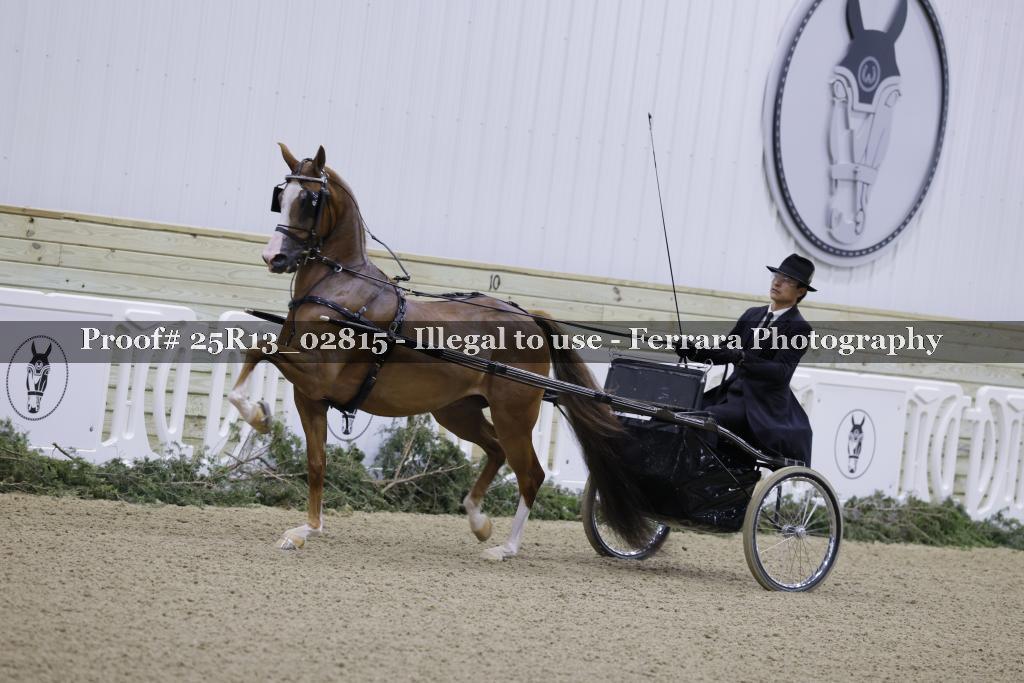 Proof 25R13_02815