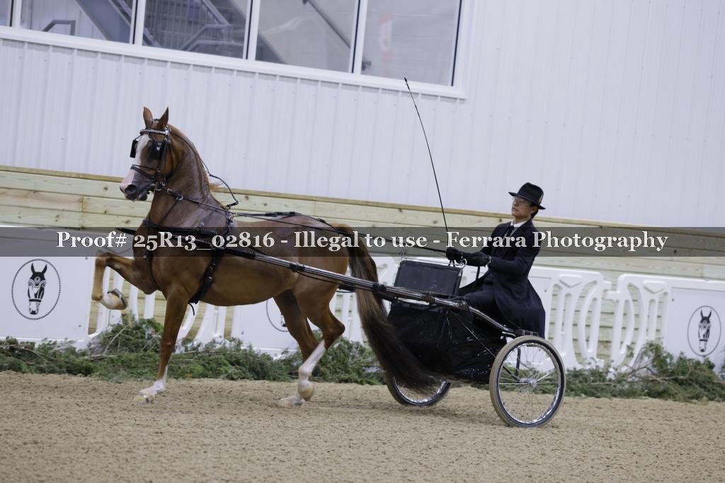 Proof 25R13_02816