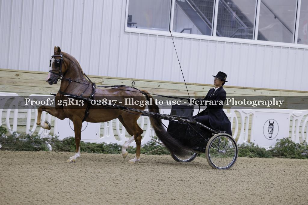 Proof 25R13_02817