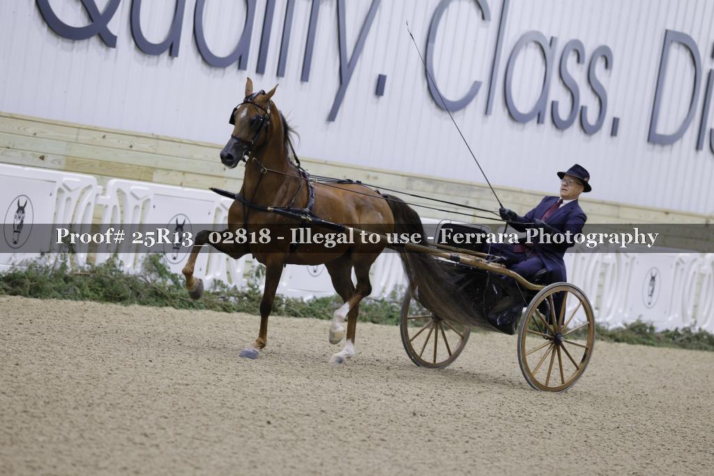 Proof 25R13_02818