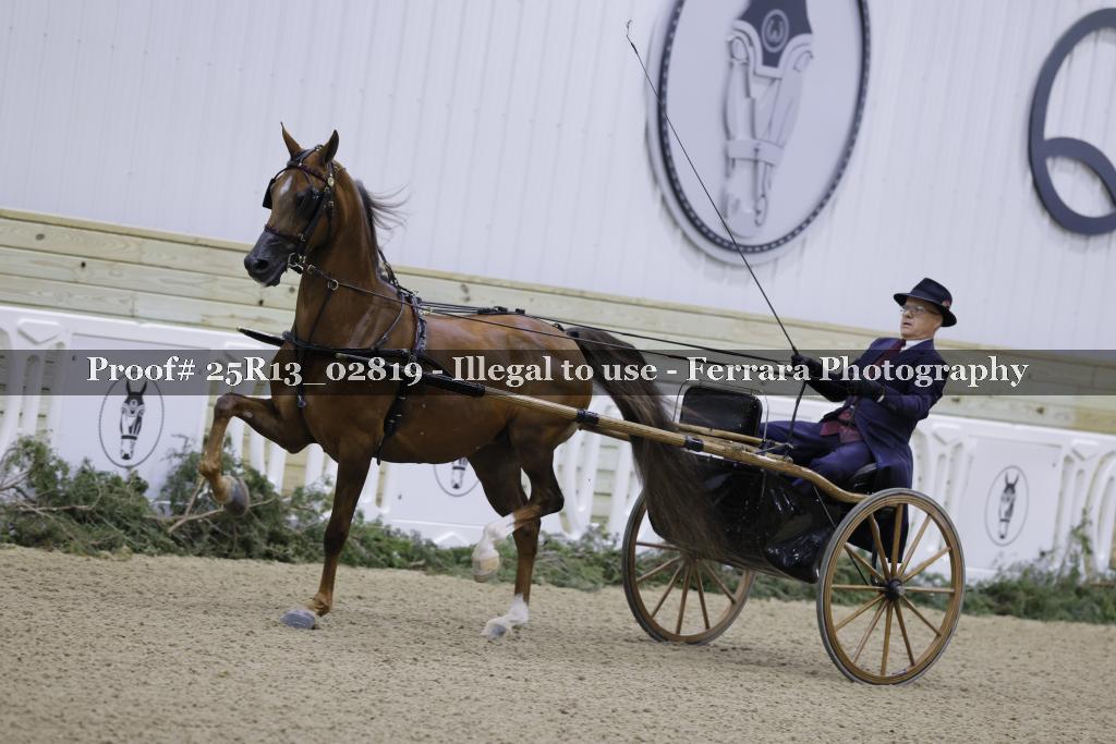 Proof 25R13_02819