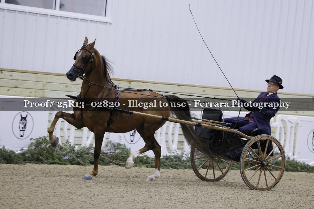 Proof 25R13_02820