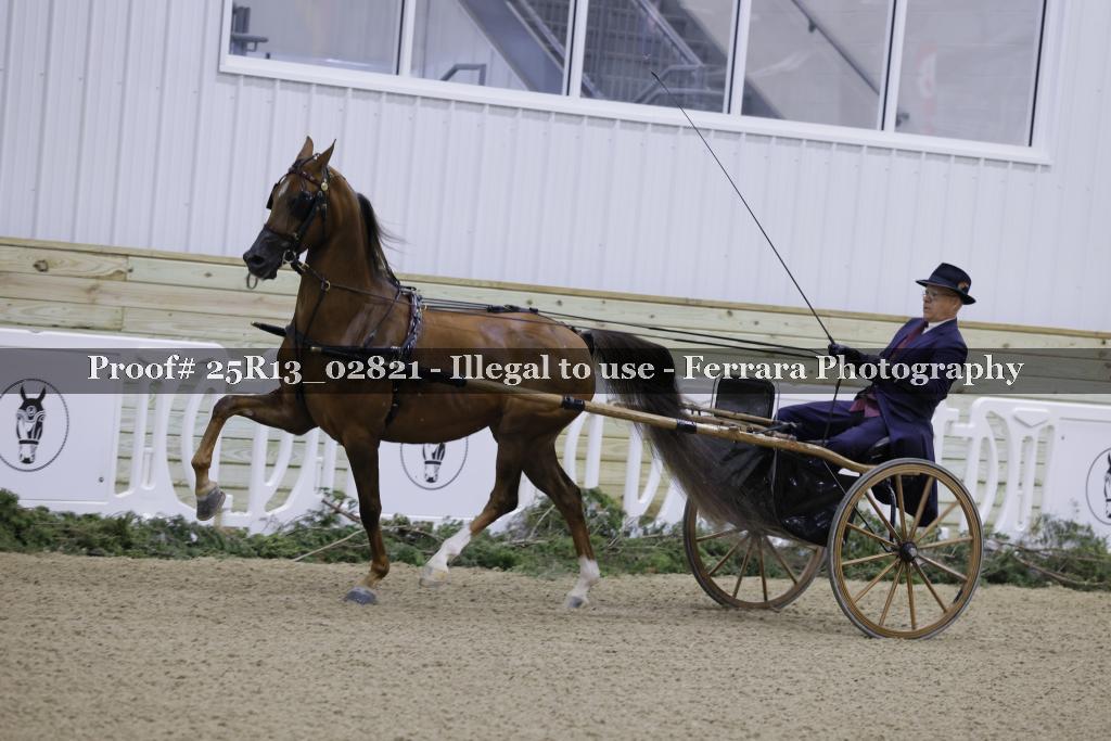 Proof 25R13_02821