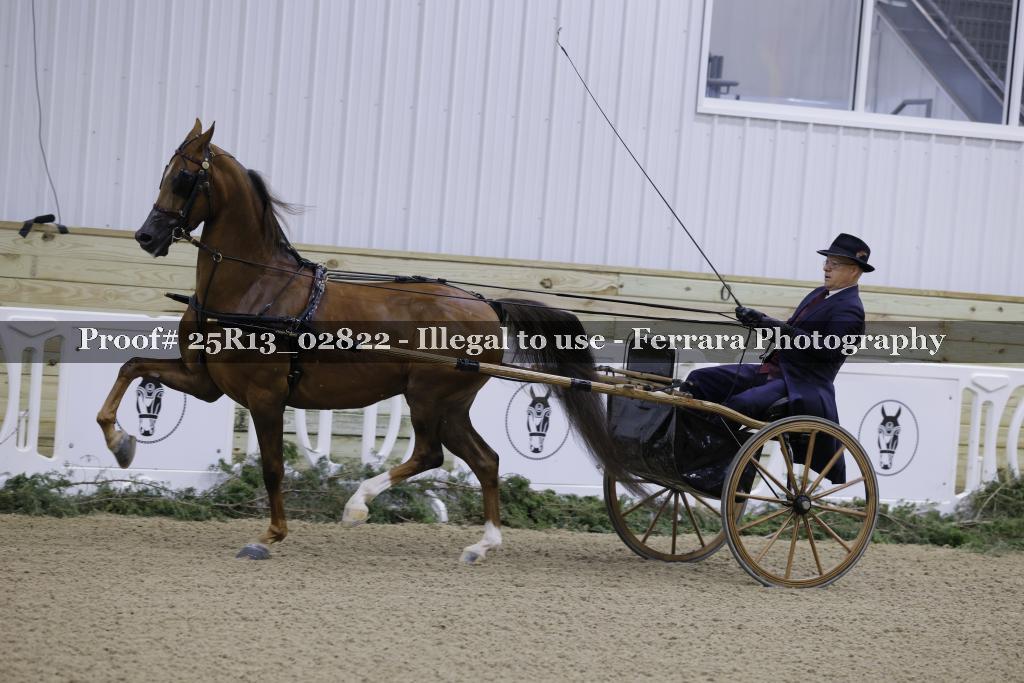 Proof 25R13_02822