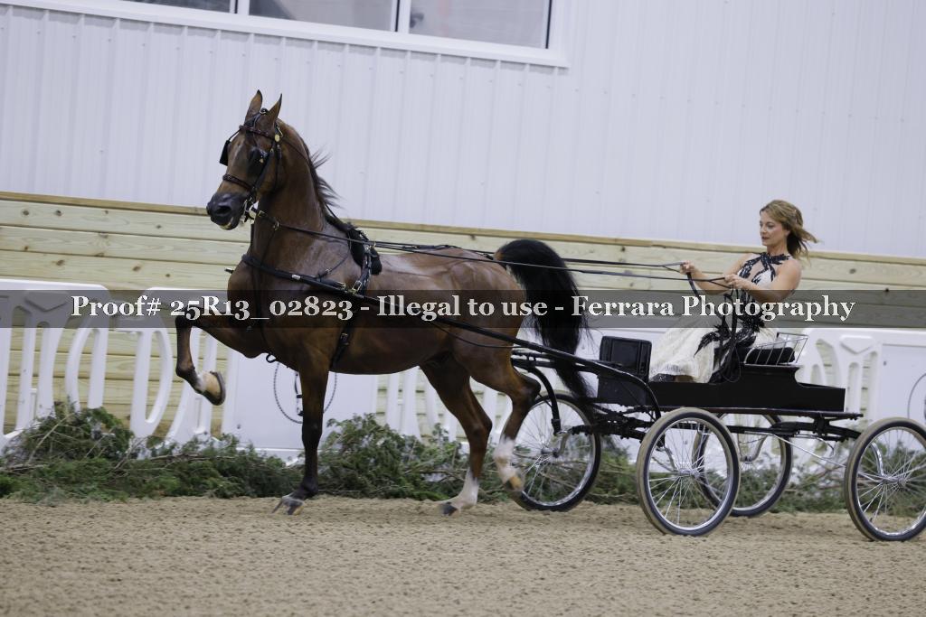 Proof 25R13_02823