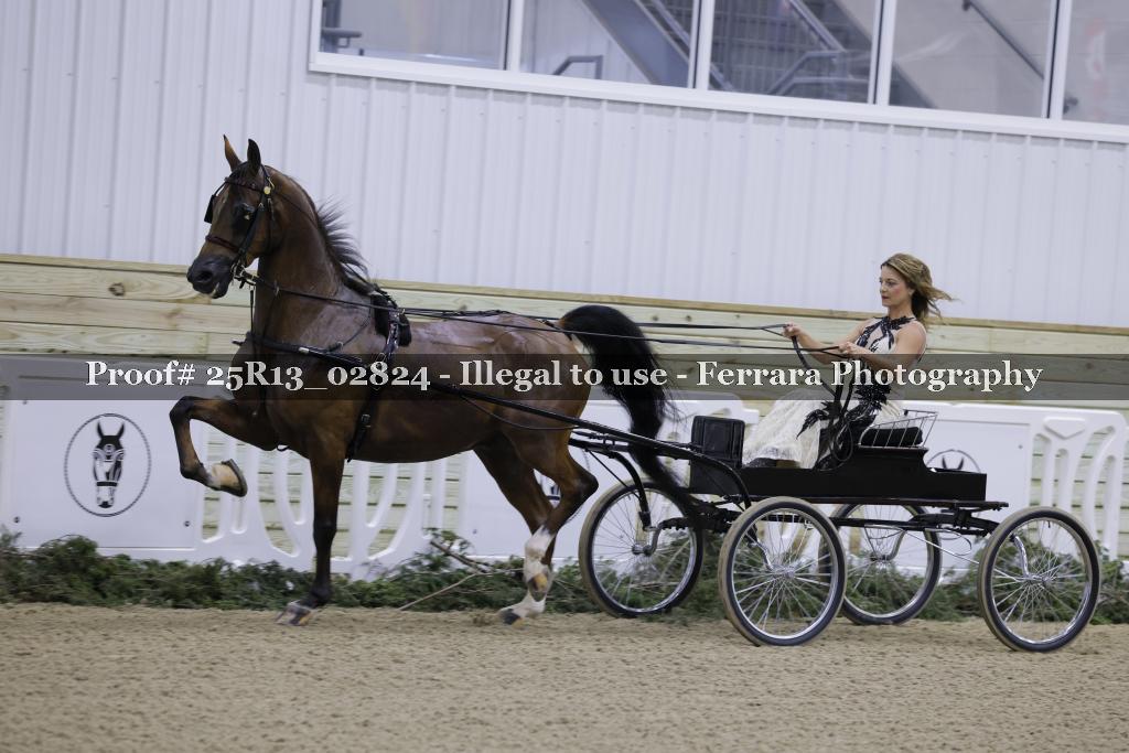 Proof 25R13_02824